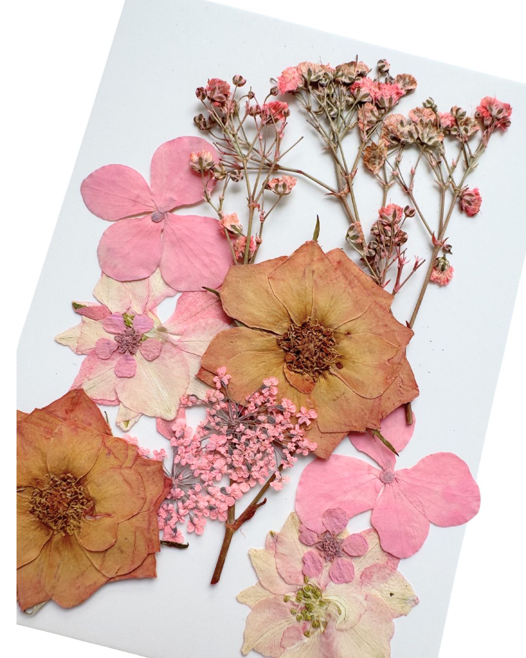 GLITTERNISTI Face Flowers kasvokukat Dusty Rose
