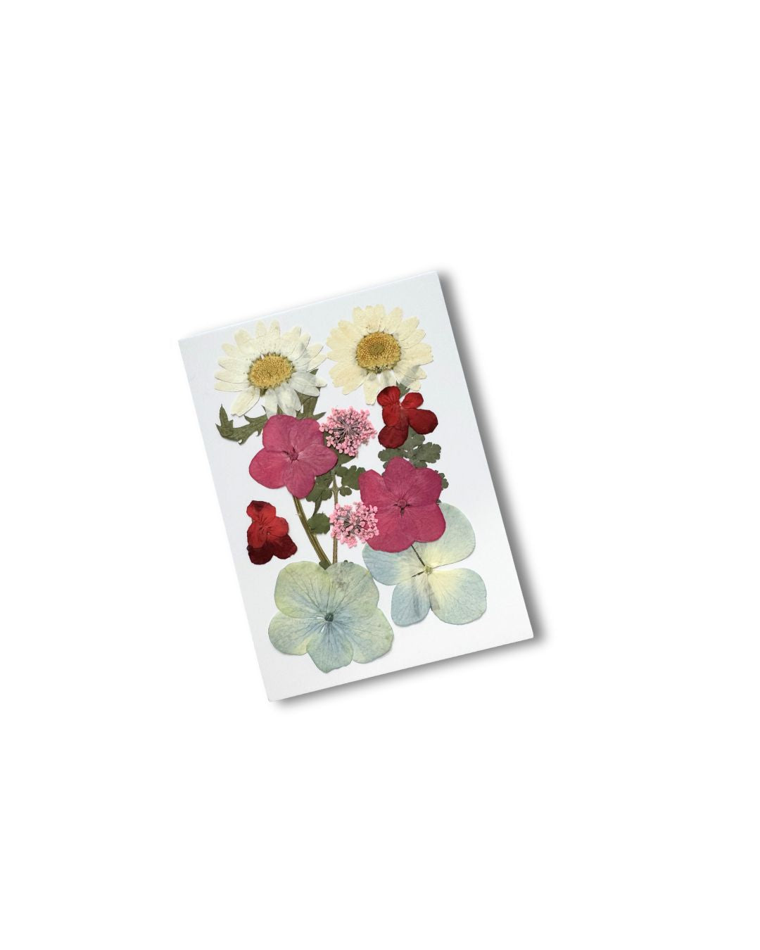 GLITTERNISTI Face Flowers kasvokukat Midnight