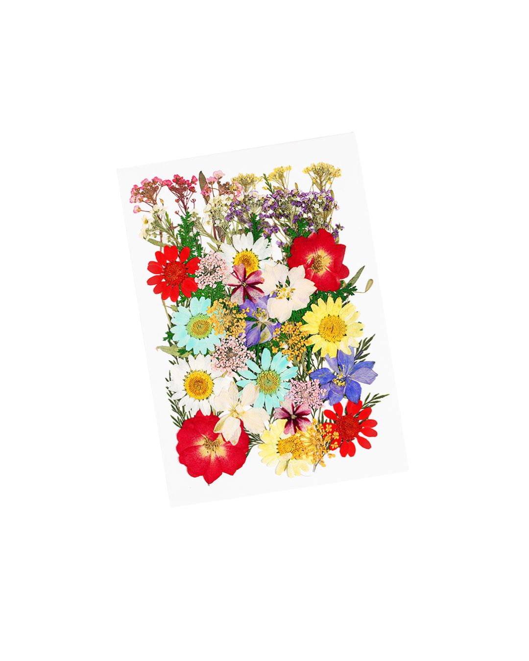 GLITTERNISTI Face Flowers kasvokukat Pastels