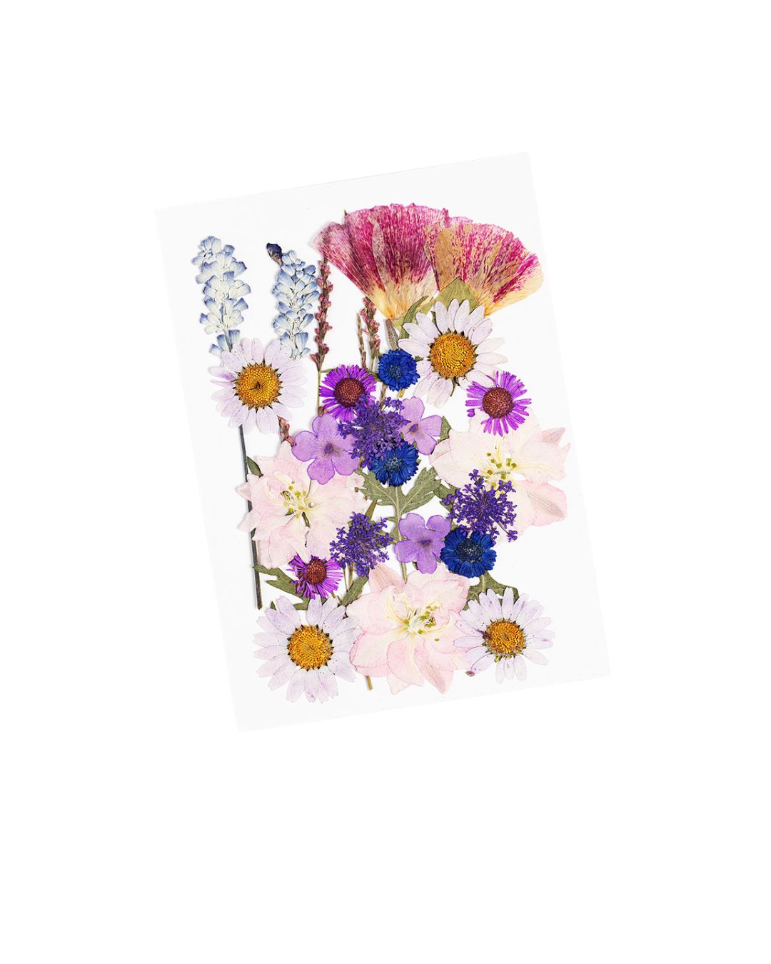 GLITTERNISTI Face Flowers kasvokukat Plum Blossom