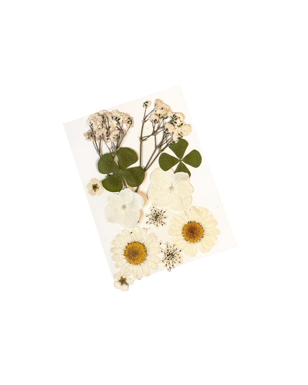 GLITTERNISTI Face Flowers kasvokukat White
