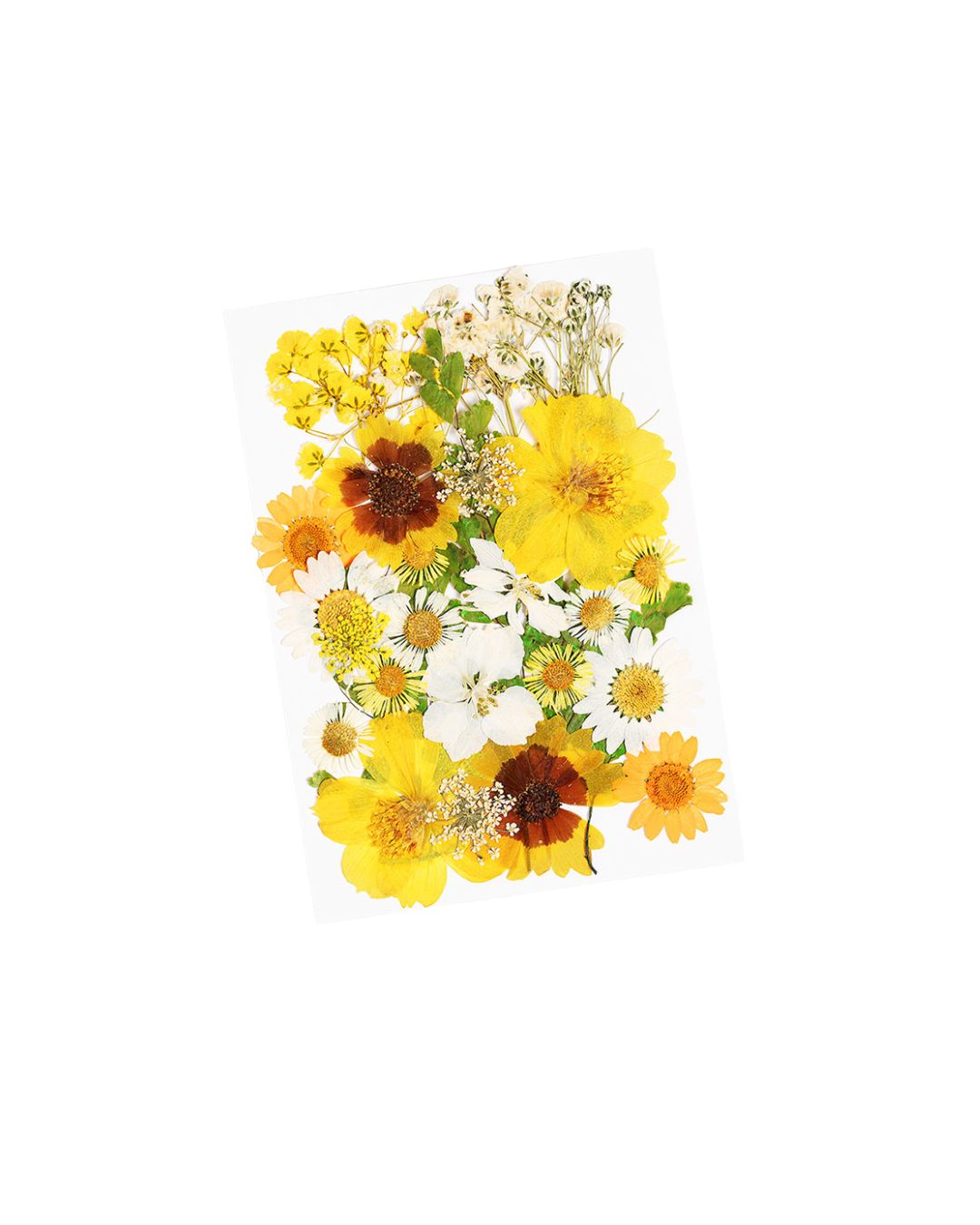 GLITTERNISTI Face Flowers kasvokukat Yellows