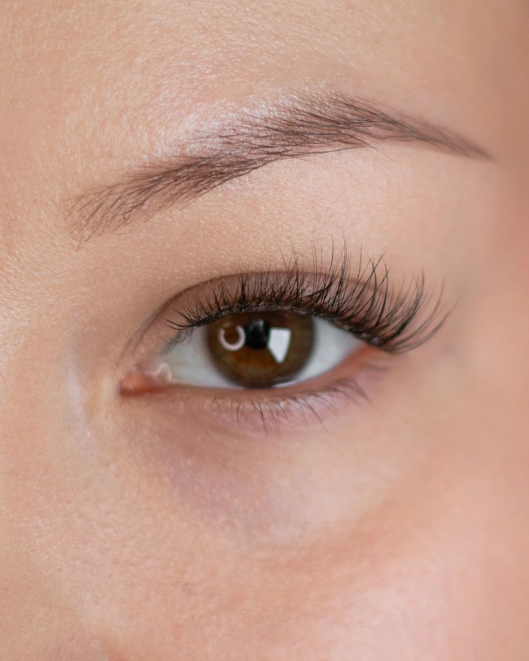 G BEAUTY LAB Press & Go Pre Mapped Underlashes Thrill ripset